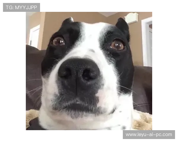 季丽萍家里送的礼物也太壕了，普通人看到肯定眼馋哭了！